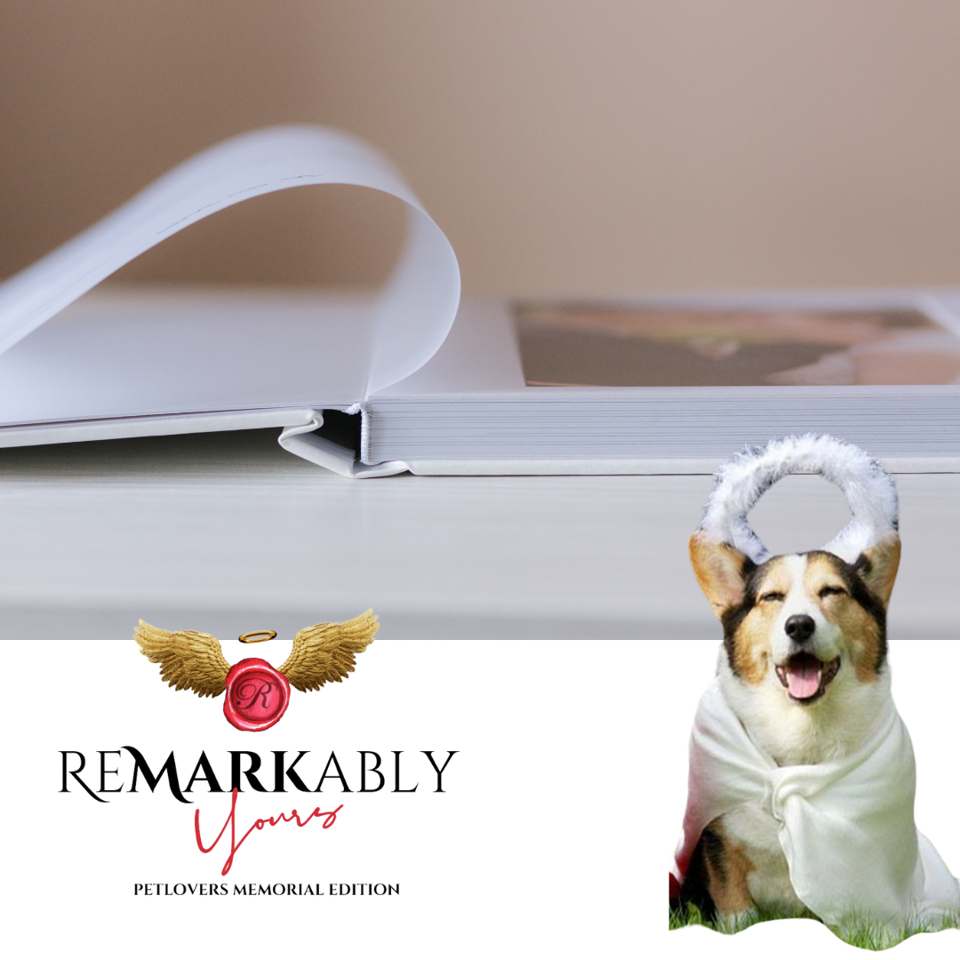 30 Best Torn Paper Mockup Templates For Photoshop